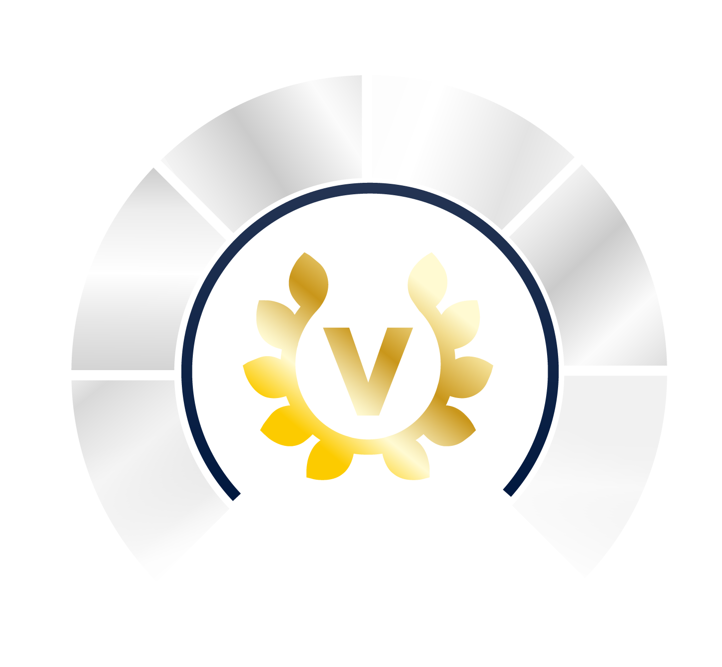 logo vip
